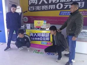 娱乐赌博代理,灰色产业链背后的秘密