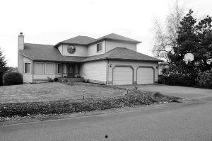 赵世兰照片,镜头下的风采与魅力