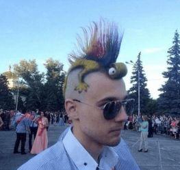 想想就心酸的表情包,揭秘“想想就心酸”表情包背后的故事