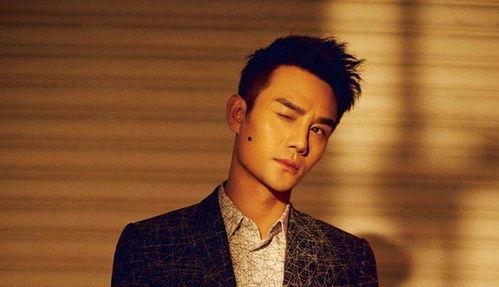 王凯的手娱乐圈,娱乐圈的璀璨星辰