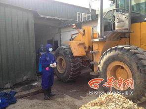 谈春平照片,镜头下的光影故事