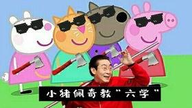 搞笑才艺介绍,笑点爆棚！揭秘搞笑才艺界的搞笑达人